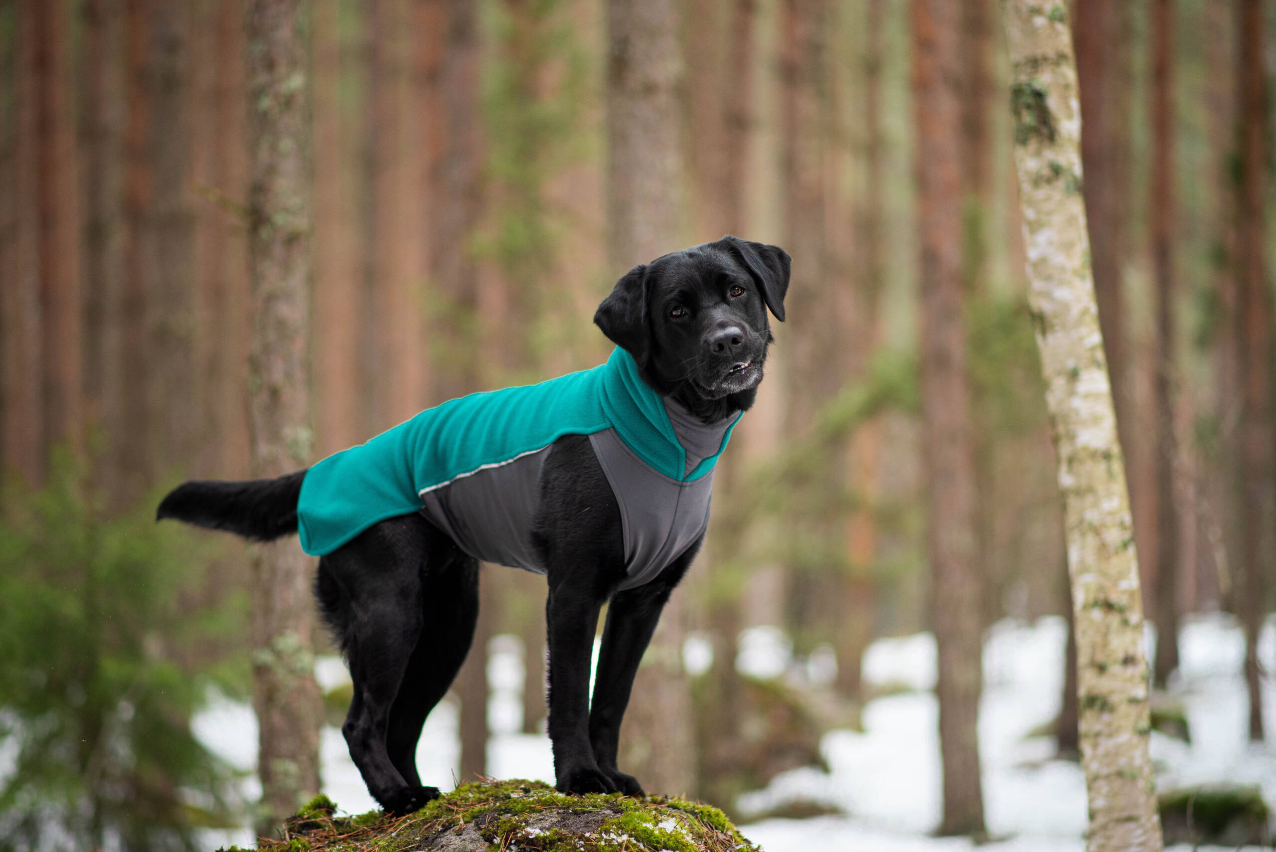 JumppaPomppa - Afbeelding 7