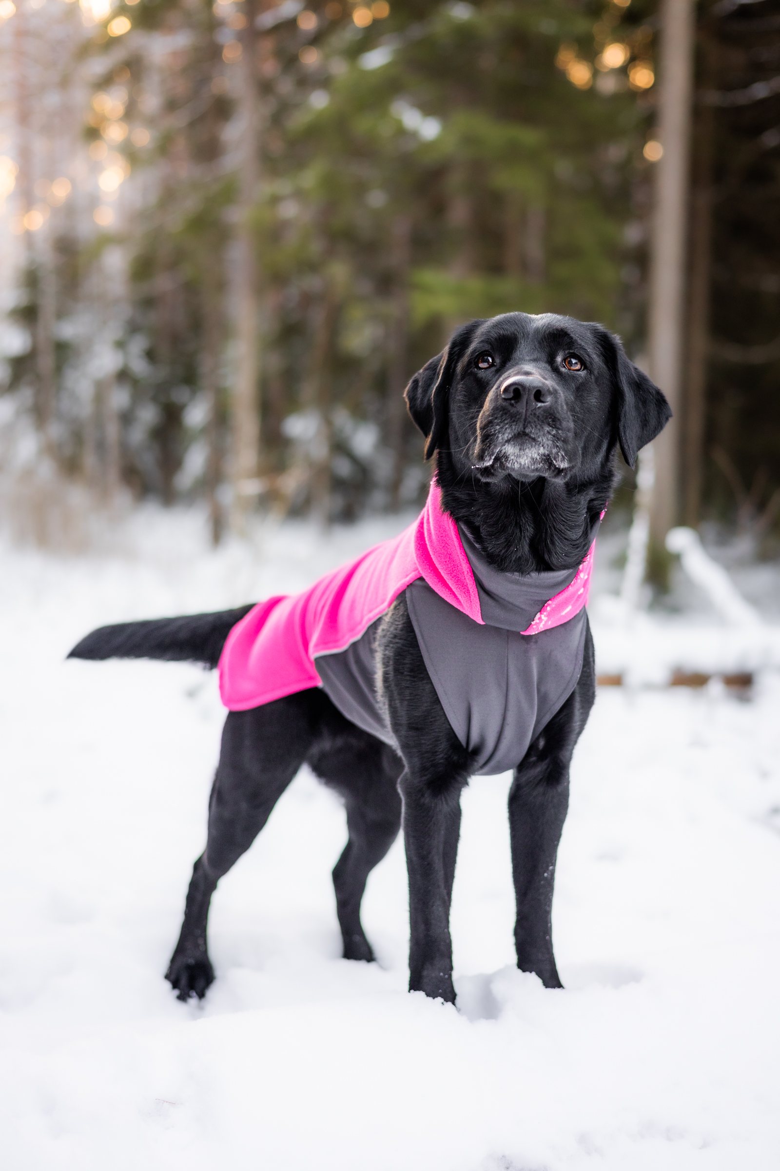 JumppaPomppa - Afbeelding 4