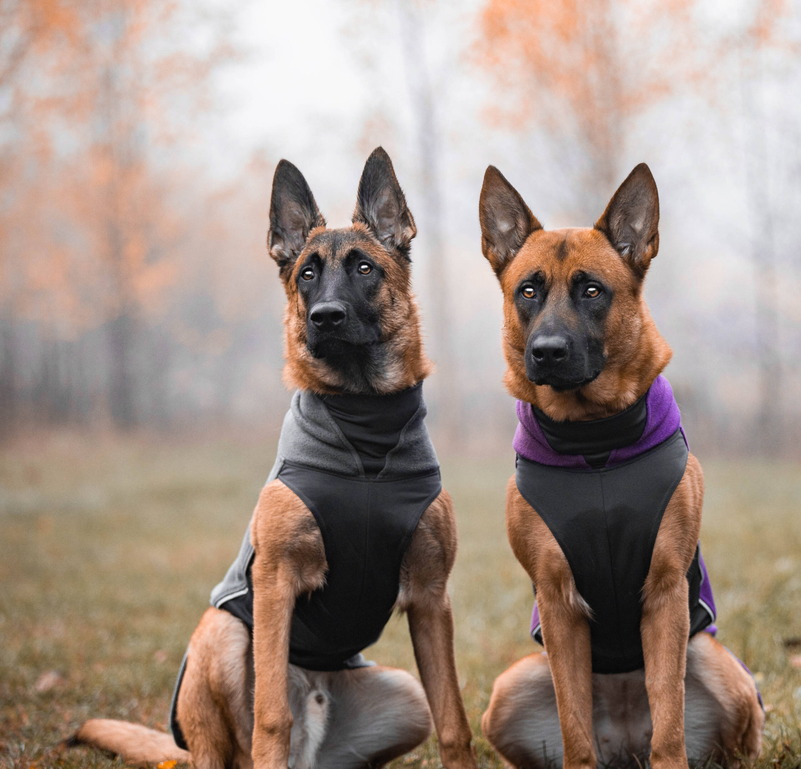 JumppaPomppa - Afbeelding 6