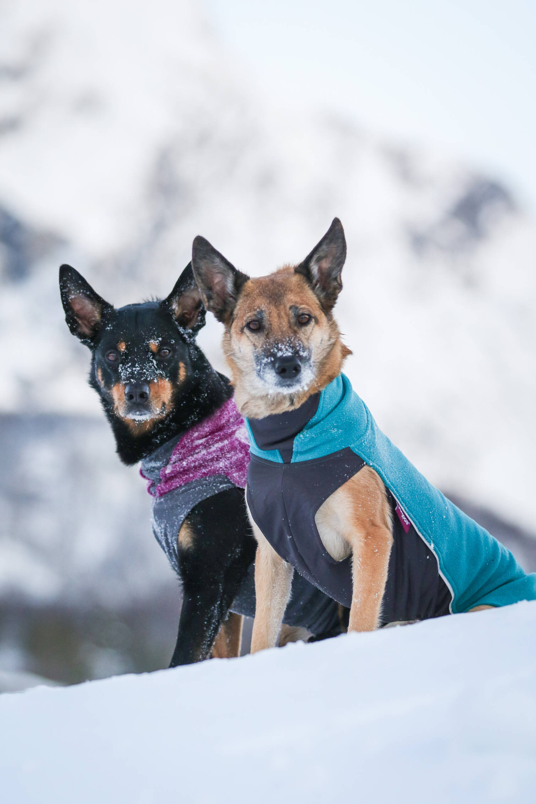 JumppaPomppa - Afbeelding 5