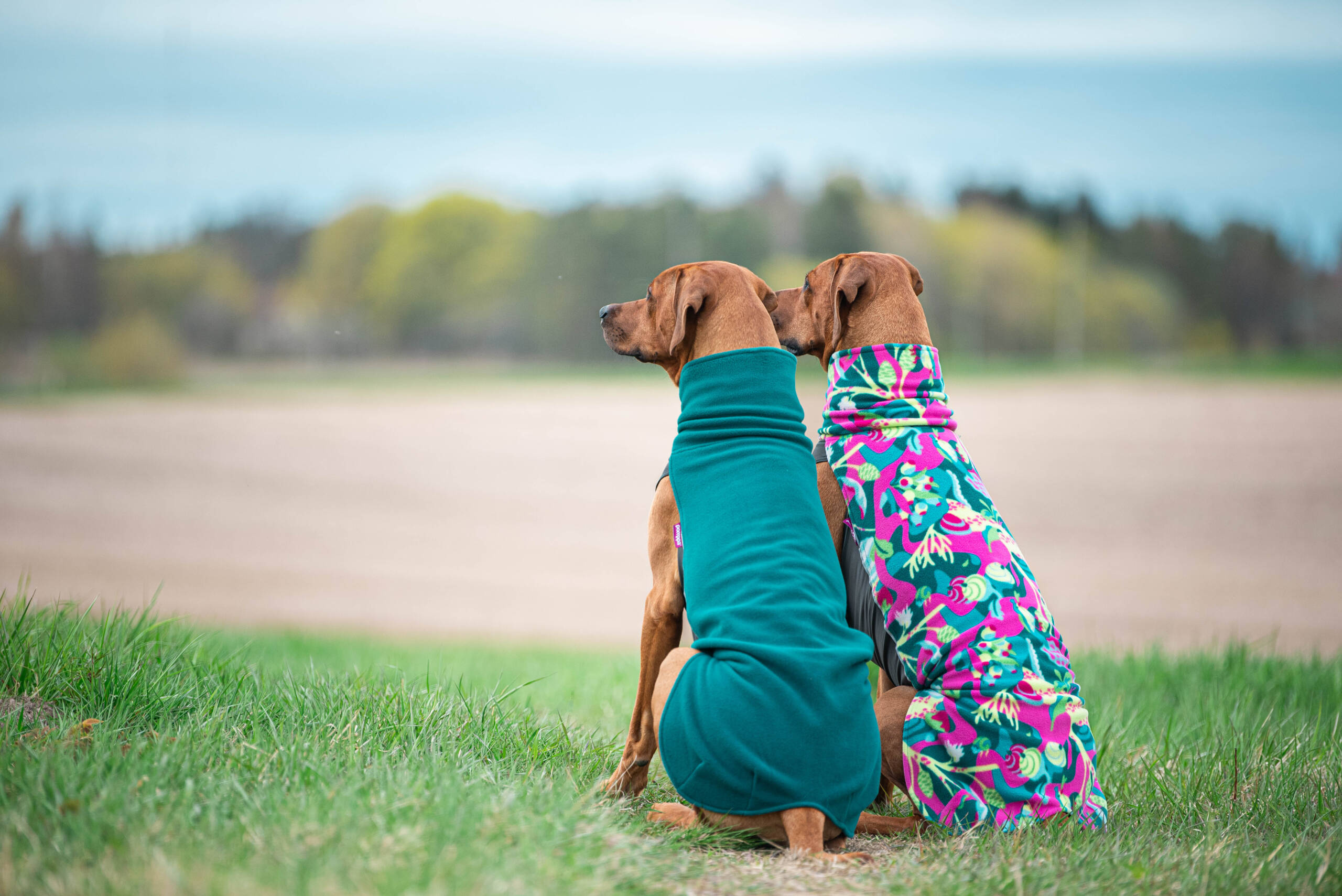 JumppaPomppa - Afbeelding 3