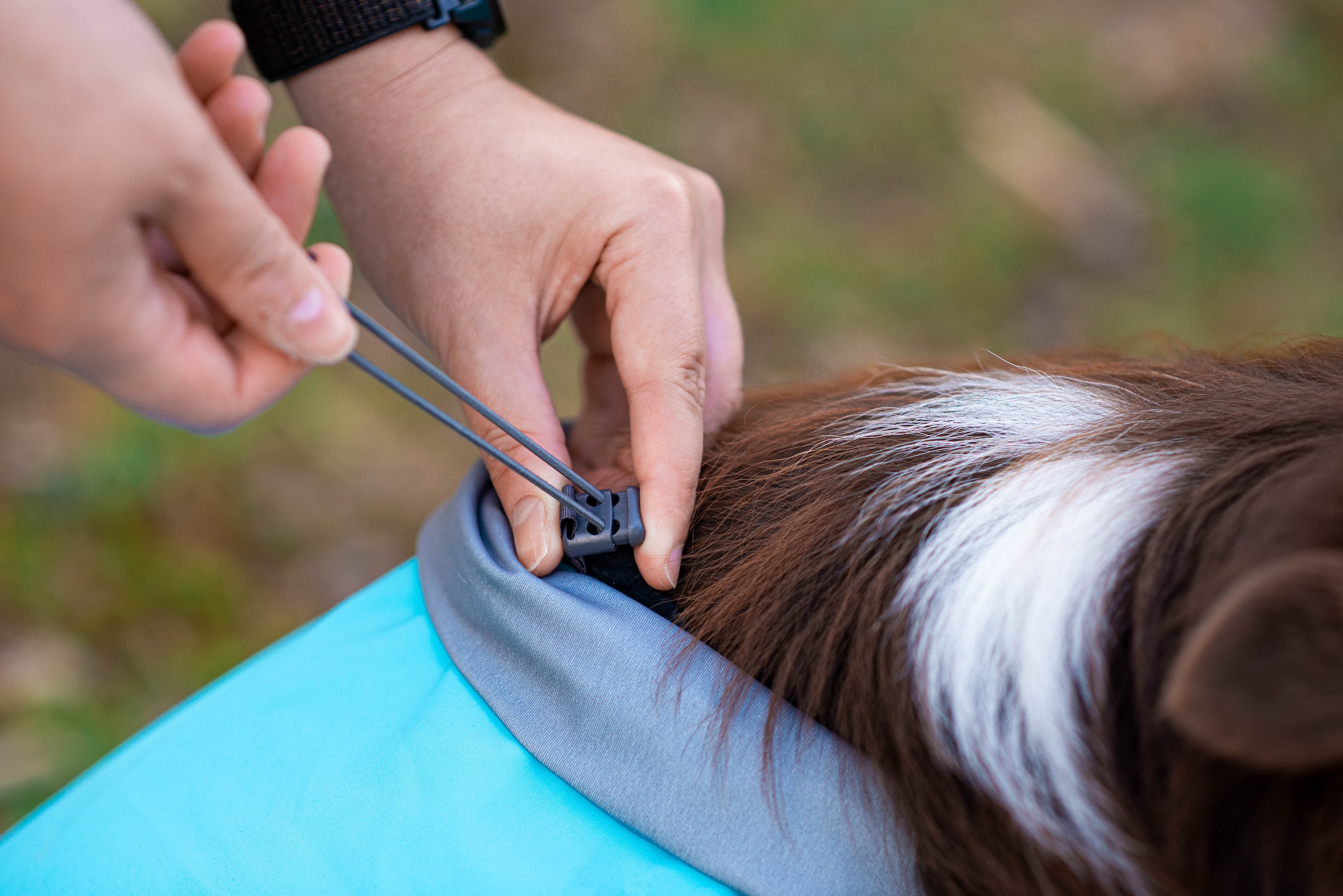 KuoriPomppa - Afbeelding 8