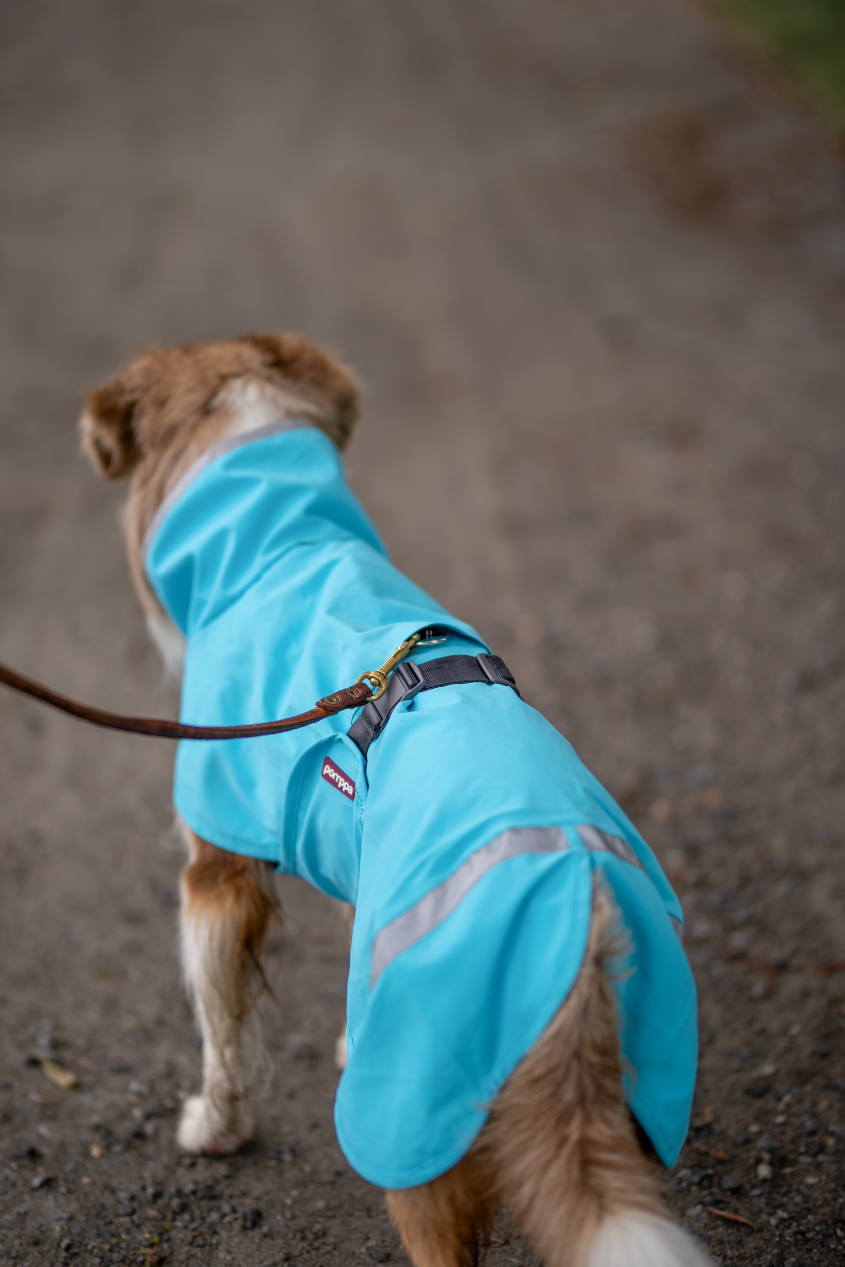 KuoriPomppa - Afbeelding 9