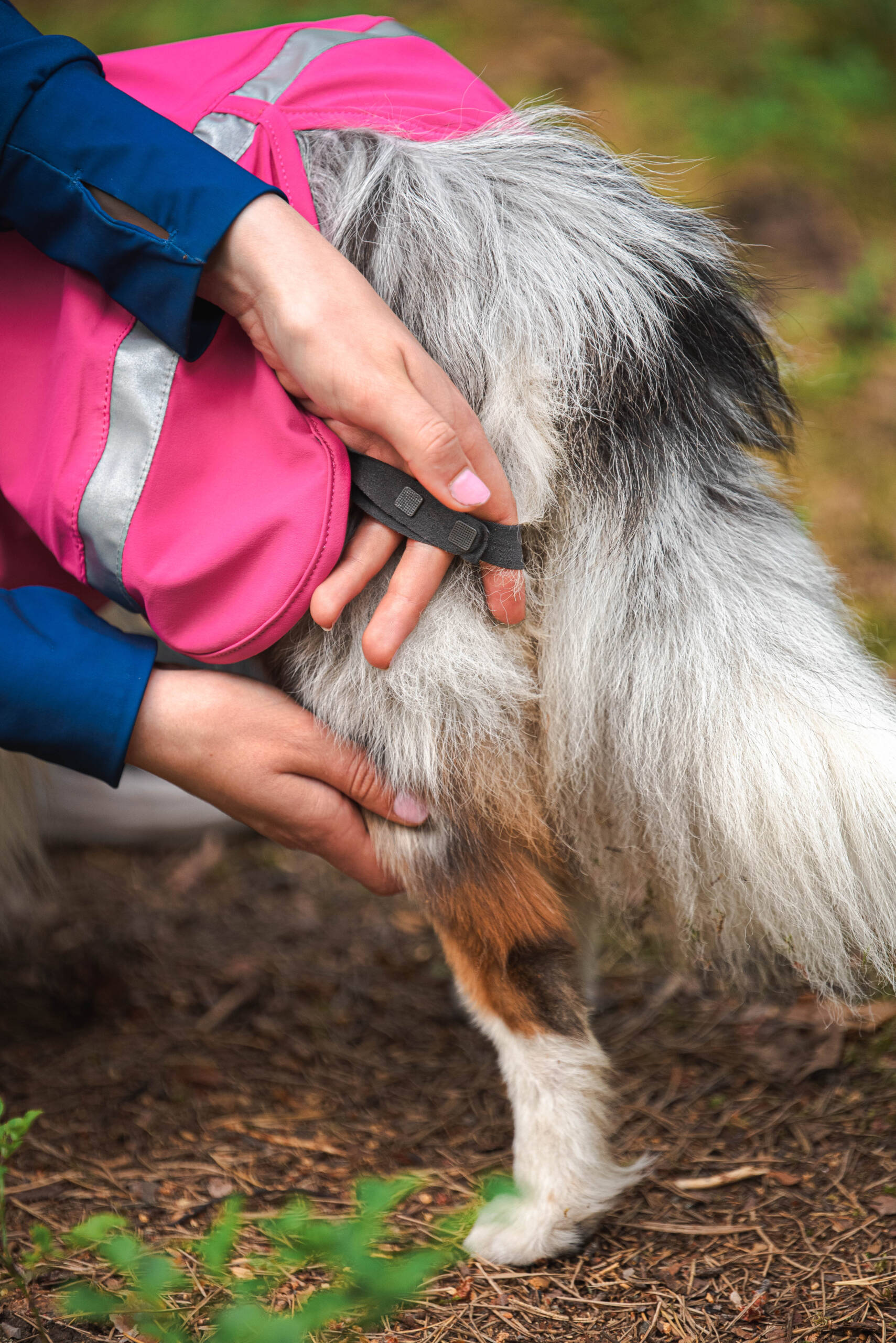 KuoriPomppa - Afbeelding 14