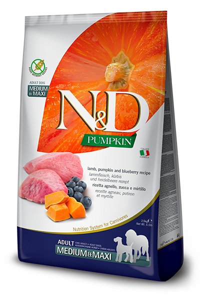 N&D Pumpkin Adult - Medium&Maxi - Lam & Blauwe Bes